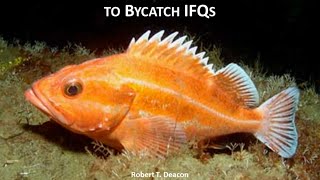 Individual and Collective Adaptations to Bycatch IFQs