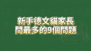 ‍德文貓新手家長常問的9個問題