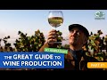 The great guide to wine production  part 1  3d animation by oliver ende