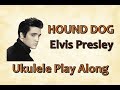Hound dog  elvis presley  ukulele play along very easy