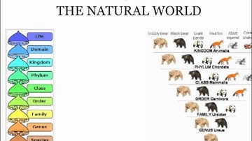 The Taxonomy of ITSM - Incident Management Clip