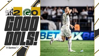 Thumbnail for SANTOS 2 x 0 GOIÁS | GOLS | BRASILEIRO B (19/06/24)