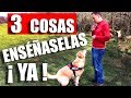 3 Simples TRUCOS 😱 CAMBIARÁN a tu PERRO [FUNCIONA]