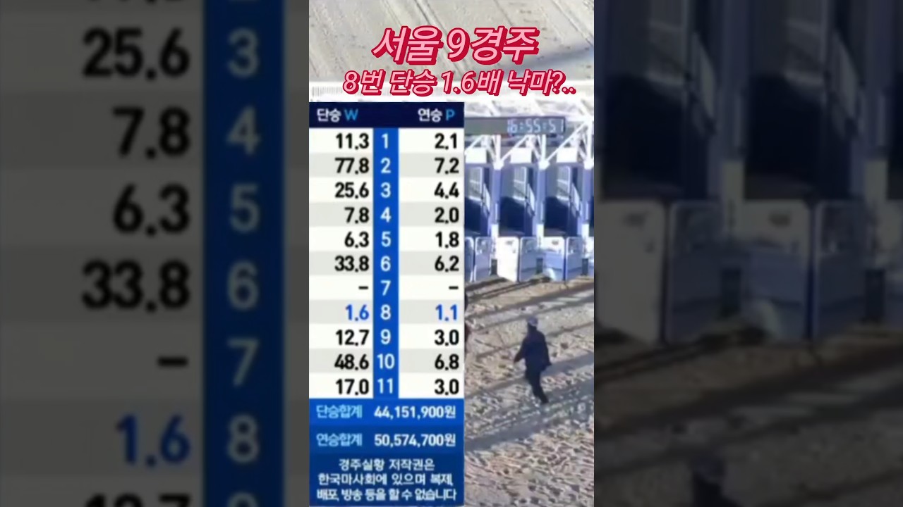 @예측 불가능한 경마의 변수! 2026.1.24 토요일 #shorts