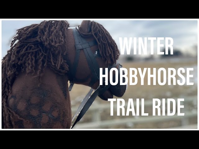 WINTER HOBBYHORSE TRAIL RIDE!!!! (Check Description) 