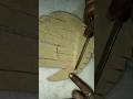 Videshi Cutting Paratha🥰😍🤤|#videshi #cutting #cuttingskills #cuttingasmr #parathacutting #cuttingart