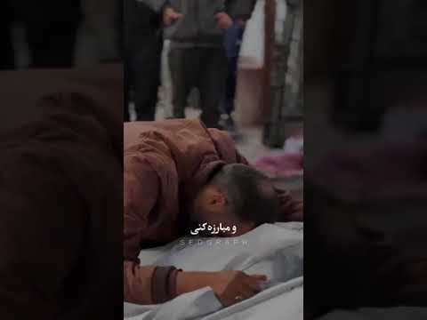 فلسطین در قلب جهان جاداری بی توافتی سیاست مداران خارجی