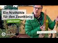 Nisthöhle für den Zaunkönig selber bauen | gardify Tipps