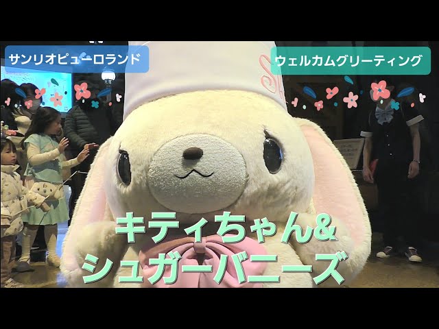 キティちゃんとシュガーバニーズのご挨拶！【サンリオピューロランド
