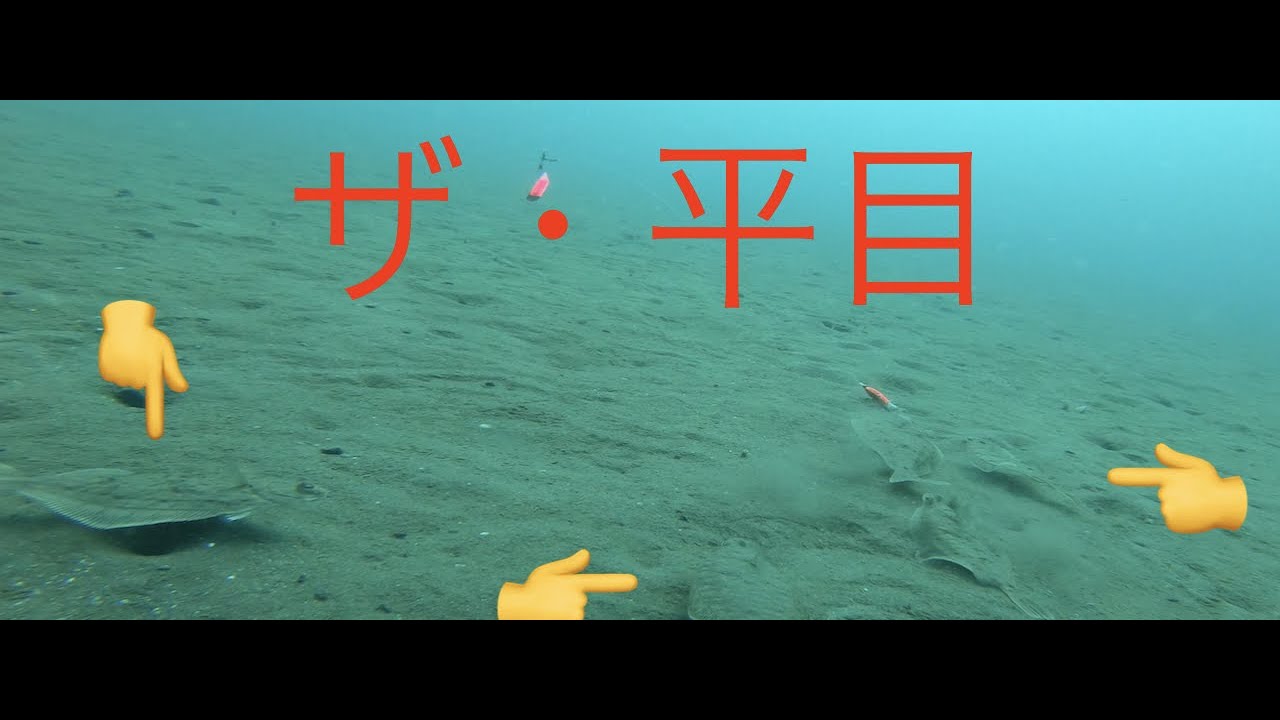 ヒラメ釣り参考映像。三角バケ釣り水中映像、平目が群がる！see 