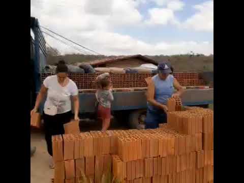 Comprei tijolo Arame Des saco de cimento Dois Ferro Grande    Construção do  Galinheiro