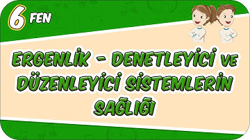 Ergenlik Denetleyici ve Düzenleyici Sistemlerin Sağlığı 📗 6FEN11 #2026