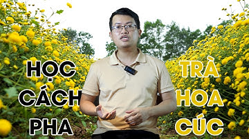 Học cách pha trà hoa cúc để nâng cao hệ miễn dịch và giúp ngủ ngon