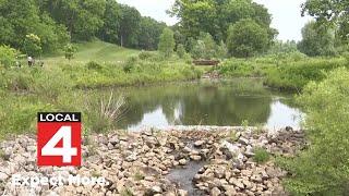 Residents upset after beaver family eithanized in Ann Arbor