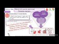 Soporte Nutricional en Pacientes Críticos COVID-19 - Lic. Mirta Antonini