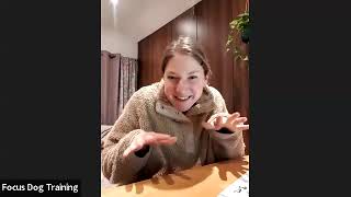 Predatory Motor Pattern: Why your dog loves to chase