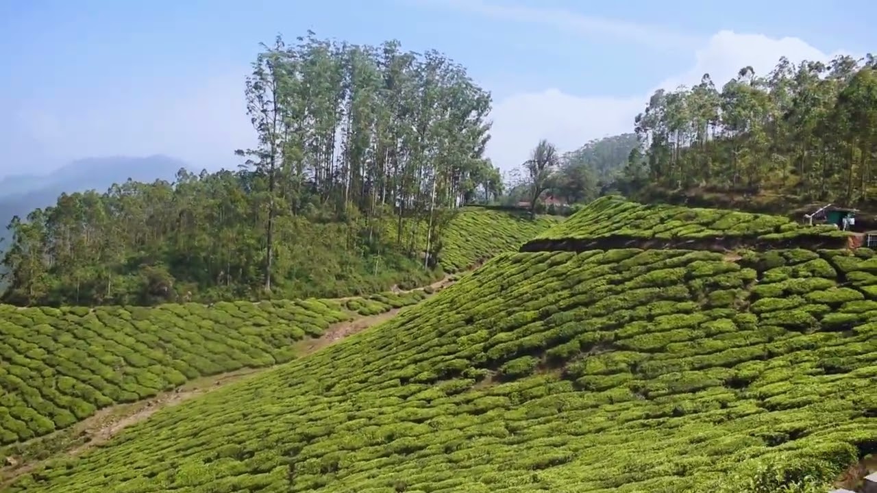 Munnar Royal view Double decker ride
