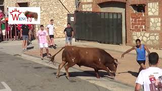 PRIMER TORO DE TORIJA 2023 by Wenc75 Videos 1,186 views 8 months ago 5 minutes, 56 seconds