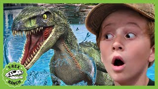 There's a Raptor at the Pool! T-Rex Ranch Jurassic Adventures