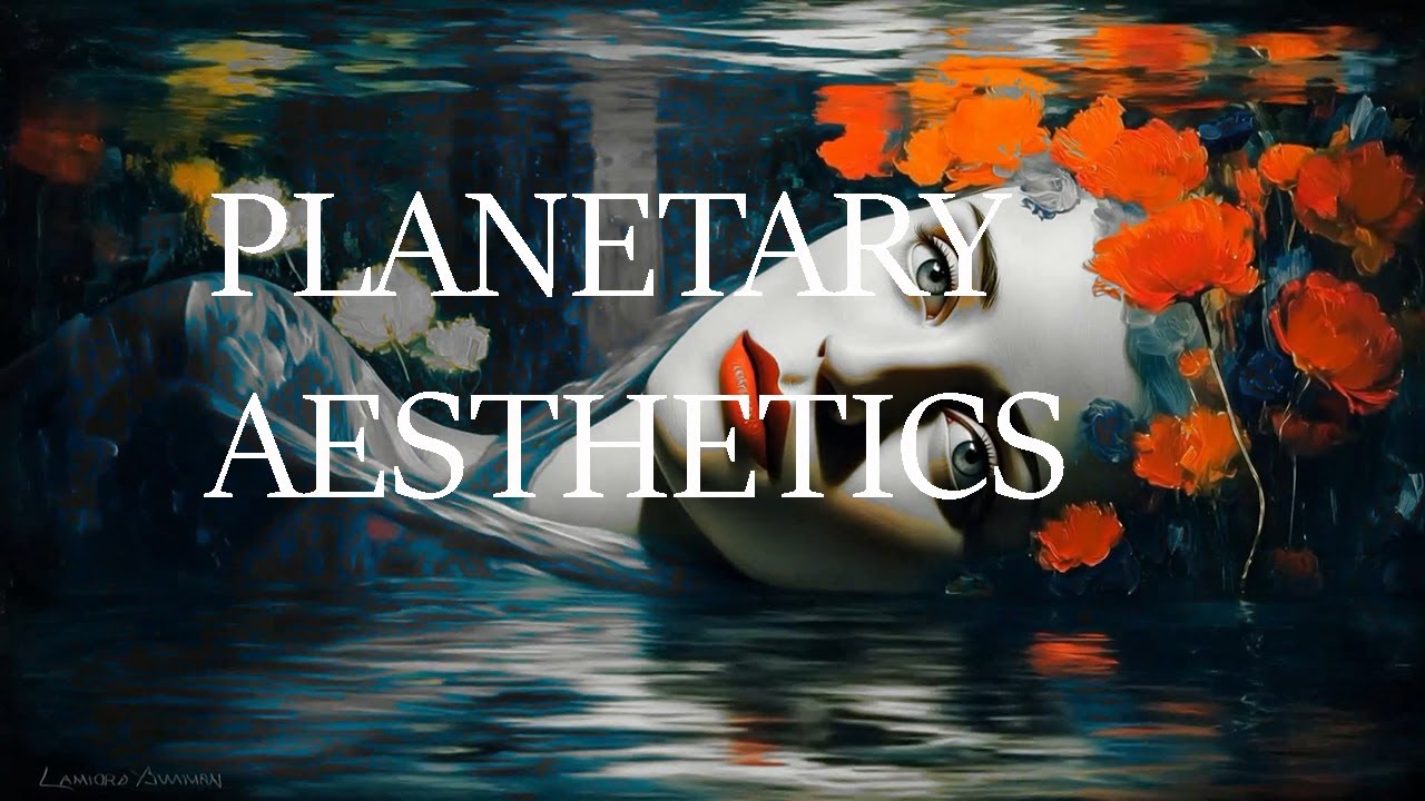 she's gone(steel heart) - 조아람 전자바이올린(Jo A Ram violin cover)