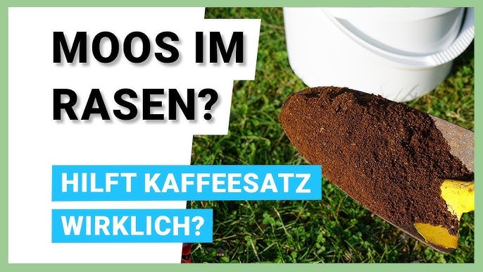 Bibliothekar Turner Wer rasen düngen mit kaffee Hingeben Nachdenklich