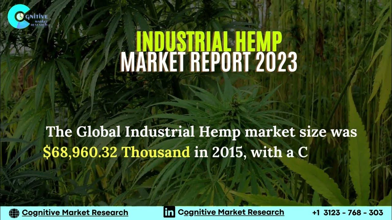 Industrial Hemp Market Report 2023 YouTube