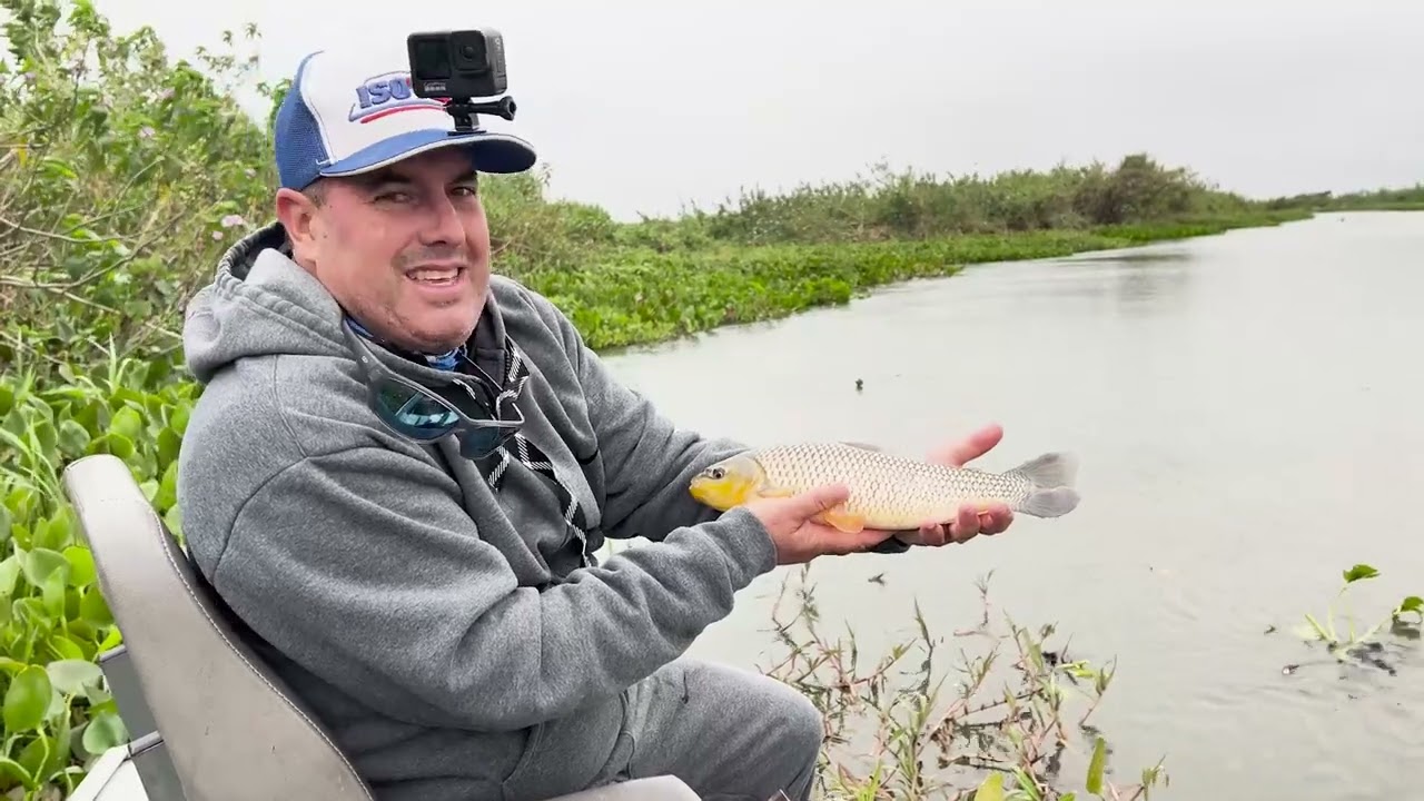 Pantanal gelado, mas com muito peixe