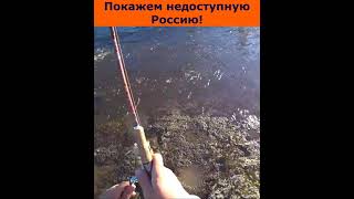 Царь рыба! Сибирский таймень! #shorts