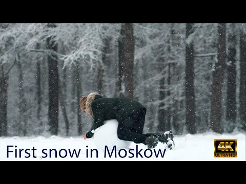 Vidéo: Forêts Meshchersky: description, nature, caractéristiques et critiques. Région Meshchersky: emplacement, monde naturel et animal