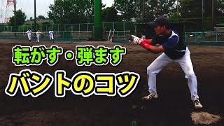 【バントの極意】ニッセイで一番上手な篠原選手のビヨンドバント