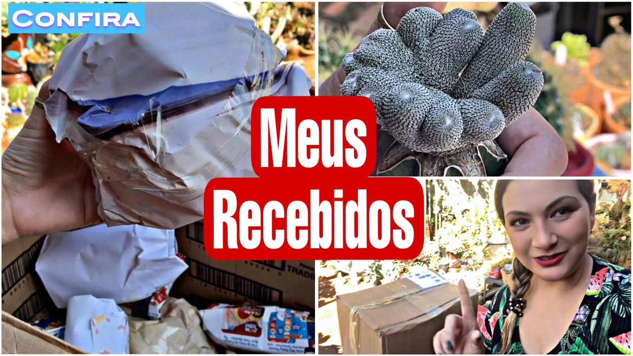 Você Não Quer Perder Essa! Abertura de Caixinha Cactário Vitoria com Cactos Lindos