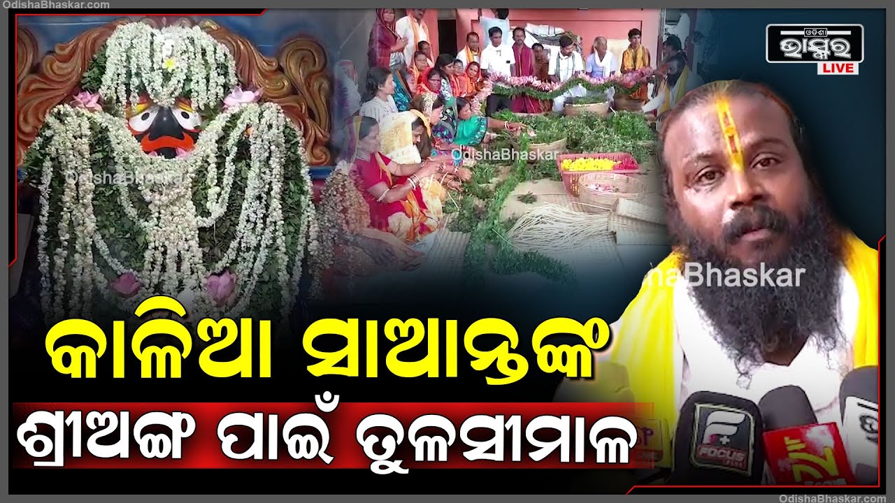ବାହୁଡା ଯାତ୍ରାରେ ମହାପ୍ରଭୂଙ୍କ ଶ୍ରୀଅଙ୍ଗରେ ଲାଗି ହେବ ବିରାଟକାୟ ତୁଳସି ମାଳ, ପଦ୍ମ ମାଳ ସହ ଗେଣ୍ଡୁମାଳ
