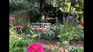 Haw Creek Neighborhood Aerial Overview | Asheville, NC Real Estate