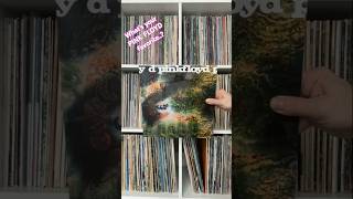 PINK FLOYD Albums in Vinyl #vinyl #hifi #trending #recordplayer #record #analoguemusic #retro #rock screenshot 1