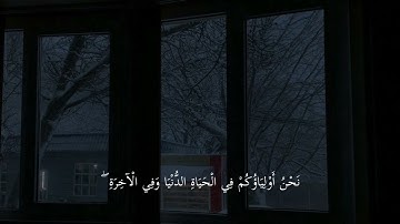 سورة فصلت الاية 30 ﴿إِنَّ الَّذِينَ قَالُوا رَبُّنَا اللَّهُ ثُمَّ اسْتَقَامُوا﴾