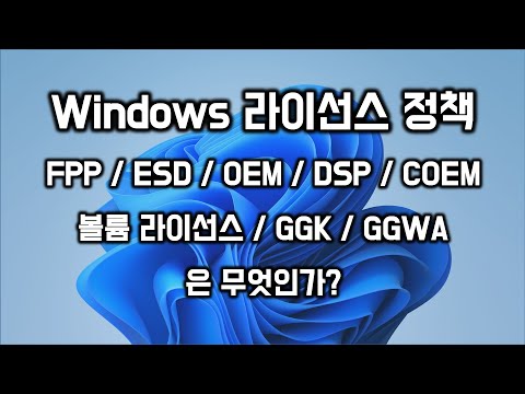마이크로 소프트 윈도우 라이선스 정책
