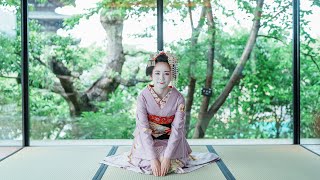 竜宮舞をんな 舞妓だらり帯『鯖地麻ニ綱青海波松』 ザ・