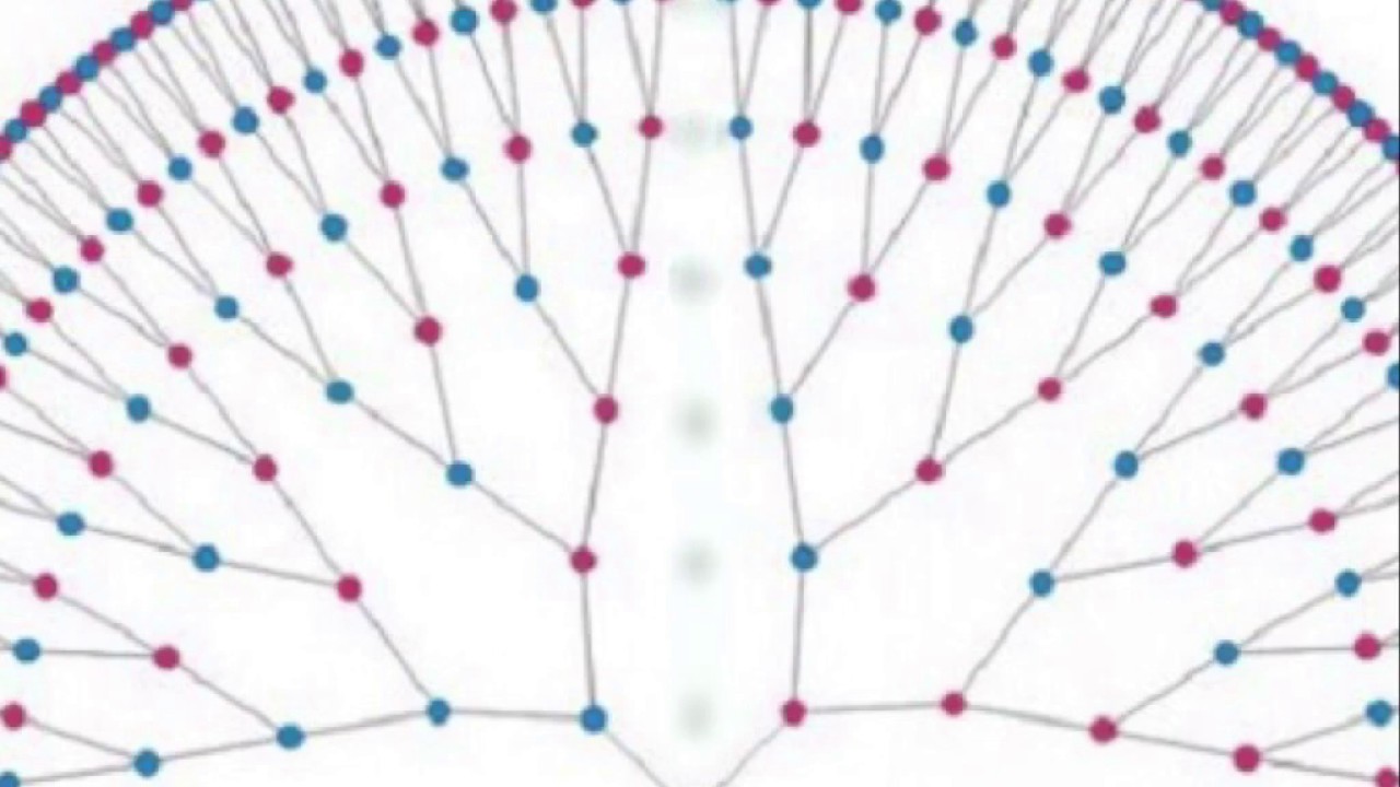 Крылья рода схема