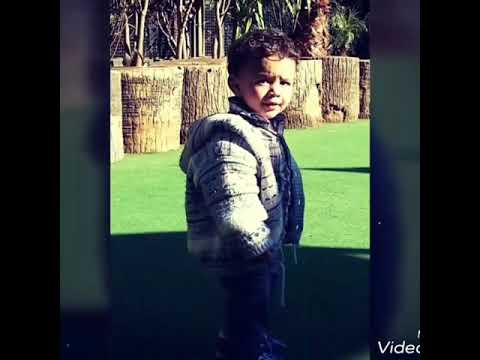 لأنك إبني وائل جسار