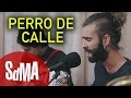 Rupatrupa - Perro de calle (acústicos SdMA)