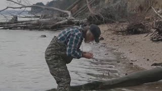 Coffin with human skeleton found along Chesapeake Bay | NBC4 Washington