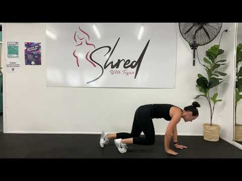Bear Crawls