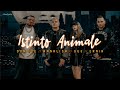 Don Joe, Annalisa, Guè, Ernia - ISTINTO ANIMALE (Lyrics/Testo)