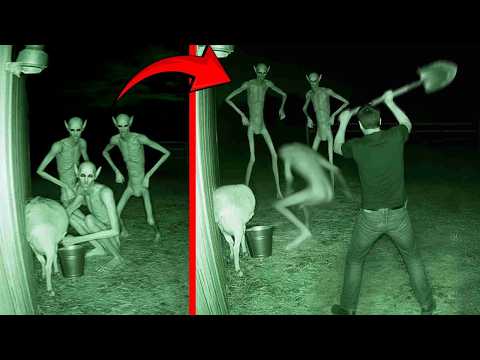 ¡Estas Criaturas Aterradoras Estuvieron Encerradas Durante Años!