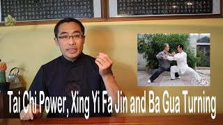 Decoding Martial Proverbs (16): Tai Chi Power, Xing Yi Fa Jin and Ba Gua Turning screenshot 3