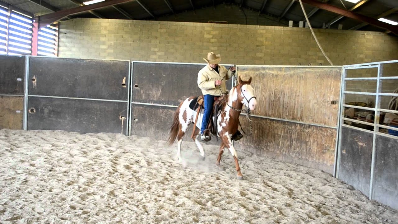 UTILISATION BOSAL.MOV