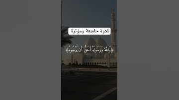 تلاوة خاشعة ومؤثرة جدا #tiktokvideo #instagram #omletarcade #allah #fff #fypシ #pakistan #reels