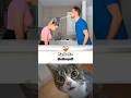 Do It AgainЁЯШВ Cat Dance Memes Funny Do It AgainЁЯШВ Cat Dance Memes Funny