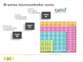 Cortex-M4: Dual-Core Implementation