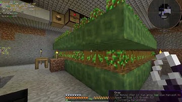 GTNH LV Steam Generation w/ Crop Manager Tree Farm Showcase